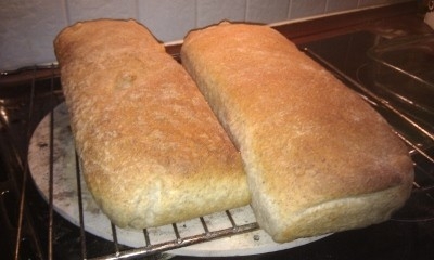 Sigtebr&oslash;d